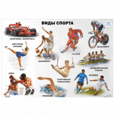 ПЛАКАТ. ВИДЫ СПОРТА