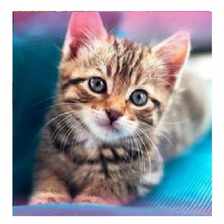 Алмазная мозаика Котенок, размер 40*50 см, без подрамника, частичная выкладка, в составе основ