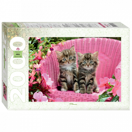 Пазлы  2000 "Милые котята"