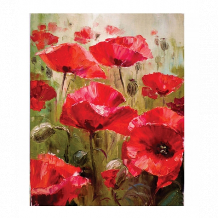 Картина по номерам с акриловыми красками (холст на подрамнике 30x40 см, цв. краски, 3 кисточки