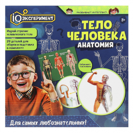 Игрушка опыты тело человека IQ Эксперимент в кор.
