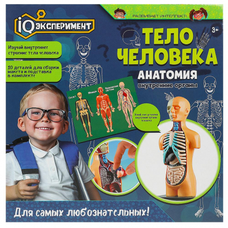 Игрушка опыты тело человека IQ Эксперимент в кор.2*48шт