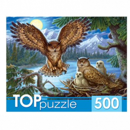 Пазлы 500 элементов. TOPpuzzle. ХТП500-4218 НОЧНЫЕ СОВЫ