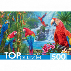 ПАЗЛЫ 500 эл.TOPpuzzle. ЯРКИЕ ПОПУГАИ (Арт.ХТП500-6975)