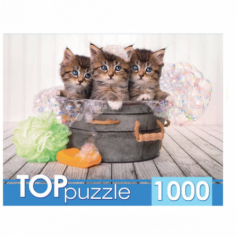 Пазлы 1000 элементов. TOPpuzzle. ШТТП1000-7182 Три голубоглазых котёнка