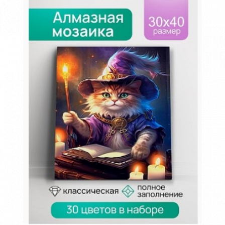 Алмазная мозаика Кот-чародей квадратная 30х40