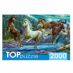 ПАЗЛЫ 2000 элементов. Ночной табун лошадей.