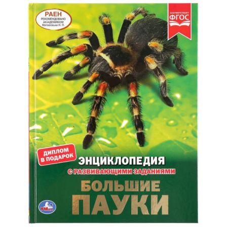 Книга "Умка". Большие пауки(Энциклопедия А4 с развивающими заданиями).