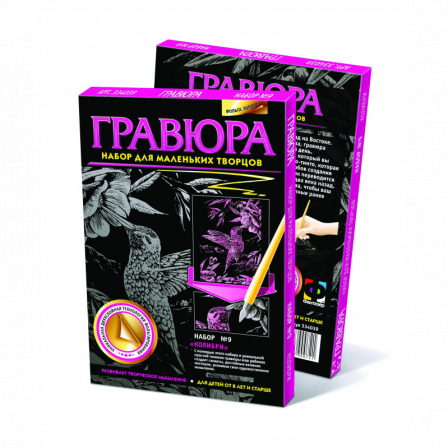 Гравюра. №9 Колибри