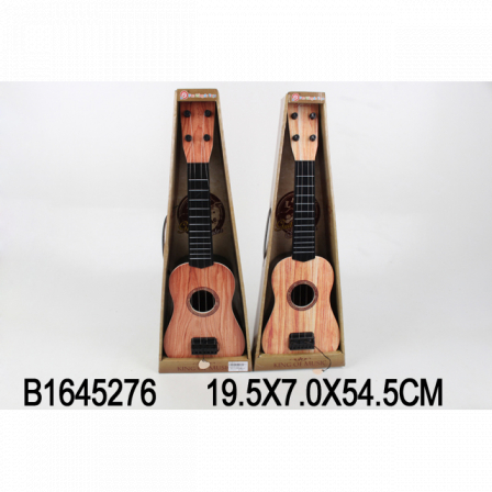 Гитара в кор.898-10
