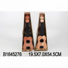 Гитара в кор.898-10
