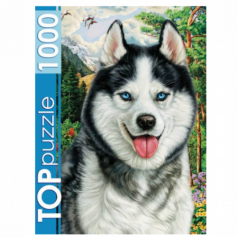 Пазлы 1000 элементов. TOPpuzzle. ФТП1000-7178 Портрет хаски