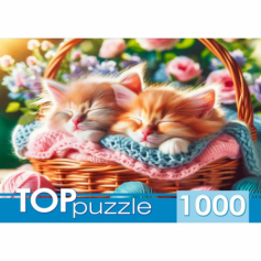 TOPpuzzle. ПАЗЛЫ 1000 элементов. ДВА КОТЁНКА В КОРЗИНЕ (Арт. ХТП1000-8739)