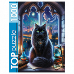 TOPpuzzle. ПАЗЛЫ 1000 элементов. МАГИЧЕСКИЙ КОТ (арт. Ф1000-2743)