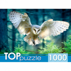 TOPpuzzle. ПАЗЛЫ 1000 элементов. ПОЛЕТ СОВЫ (Арт. ШТ1000-3870)