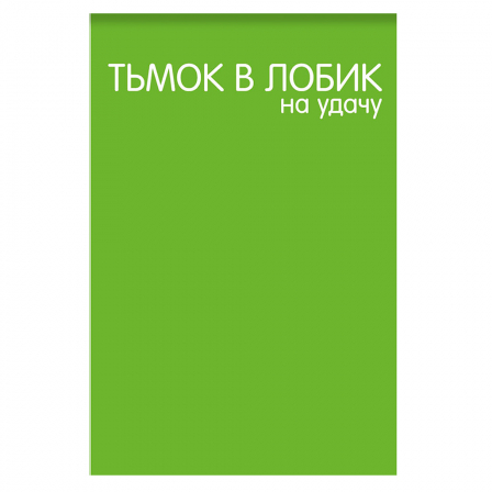 Блокнот «Тьмок в лобик на удачу», формат А7, размер 65*98 мм, клетка, 40 листов на скрепке, бл