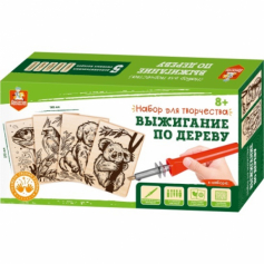 Выжигание. Набор для выжигания по дереву (аппарат с насадками, доски 5 шт)