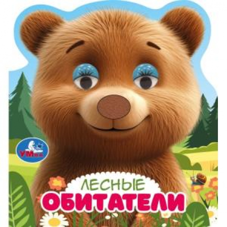 Лесные обитатели (книги с такт. носом и цв. глазками) 120х130 8стр Умка в кор.100шт