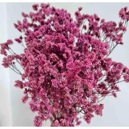 Сухоцвет "Каспия", 65-70 см, 120 гр/упак., фуксия