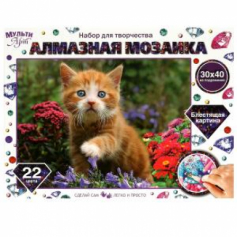 Алмазная мозаика 30х40 см на подрамнике рыжий котенок
