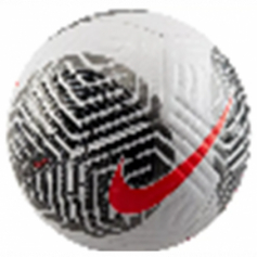 Мяч футбольный профессиональный NIKE реплика №CX-0089