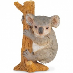 *Коала на дереве, М