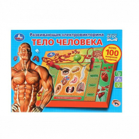 Электровикторина Тело человека, более 100 вопросов и ответов в русс. кор. Умка в кор.24шт