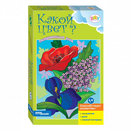 Развивающая игра "Какой цвет?"