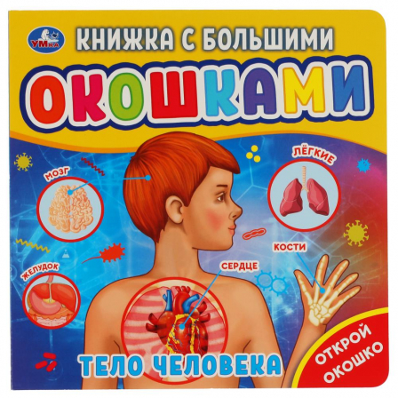 Книга "Умка" Тело человека (книжка с большими окошками) 190х190мм 10стр.